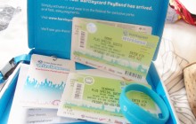 Wireless 2012: Europe’s first full RFID-integrated festival