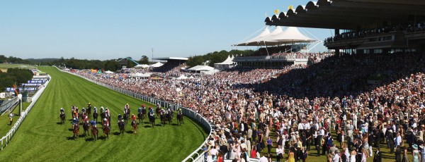 Introducing RFID Membership Cards at Goodwood Racecourse